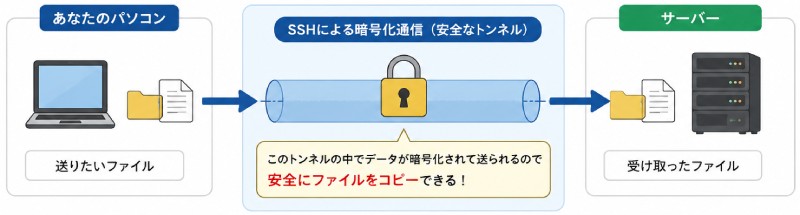 SCPとは?
